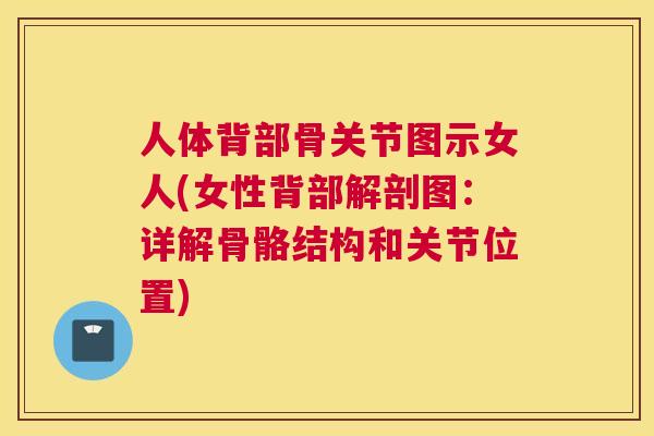人体背部骨关节图示女人(女性背部解剖图：详解骨骼结构和关节位置)