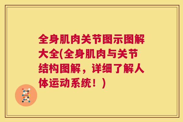 全身肌肉关节图示图解大全(全身肌肉与关节结构图解，详细了解人体运动系统！)