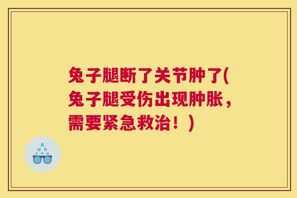 兔子腿断了关节肿了(兔子腿受伤出现肿胀，需要紧急救治！)
