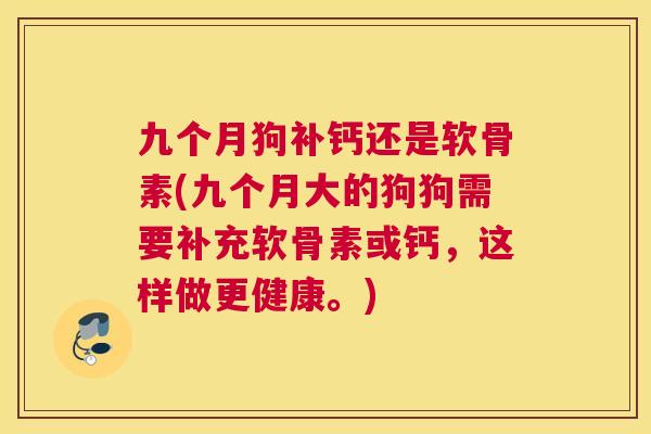 九个月狗补钙还是软骨素(九个月大的狗狗需要补充软骨素或钙,这样做更健康。)