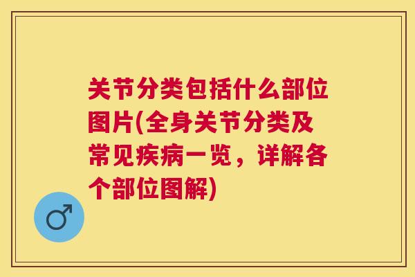 关节分类包括什么部位图片(全身关节分类及常见一览，详解各个部位图解)