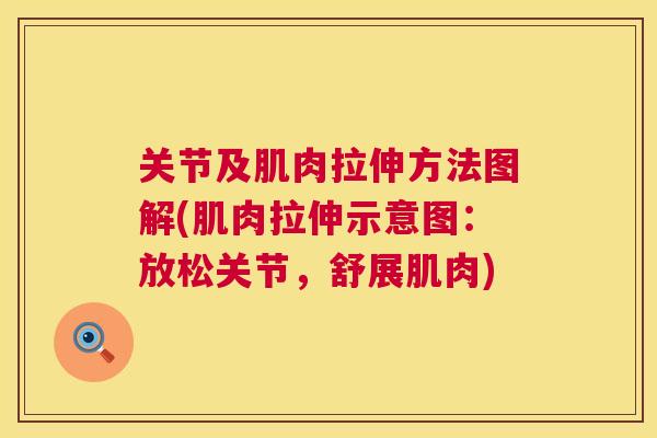关节及肌肉拉伸方法图解(肌肉拉伸示意图：放松关节，舒展肌肉)