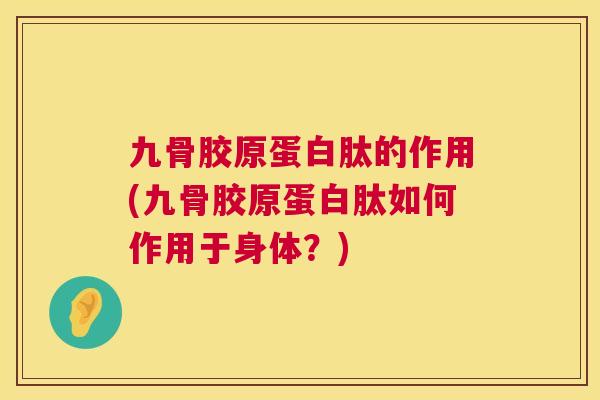 九骨胶原蛋白肽的作用(九骨胶原蛋白肽如何作用于身体？)