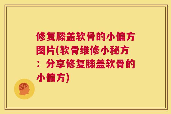 修复膝盖软骨的小偏方图片(软骨维修小秘方：分享修复膝盖软骨的小偏方)