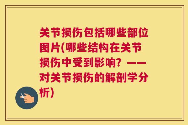 关节损伤包括哪些部位图片(哪些结构在关节损伤中受到影响？——对关节损伤的解剖学分析)