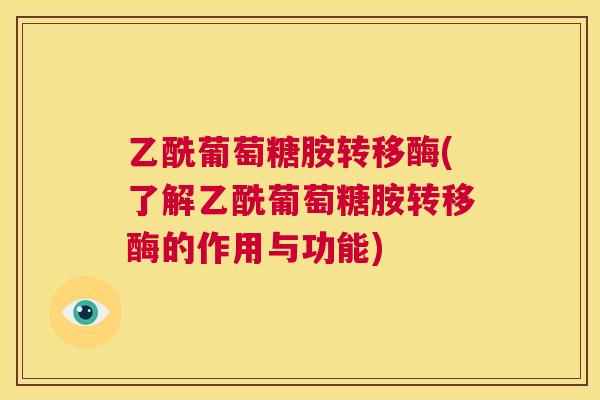 乙酰葡萄糖胺转移酶(了解乙酰葡萄糖胺转移酶的作用与功能)
