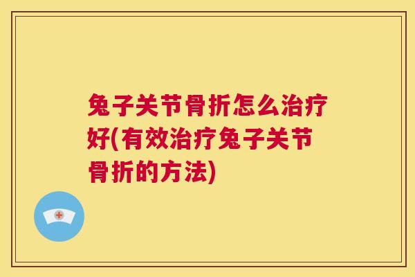 兔子关节骨折怎么治疗好(有效治疗兔子关节骨折的方法)
