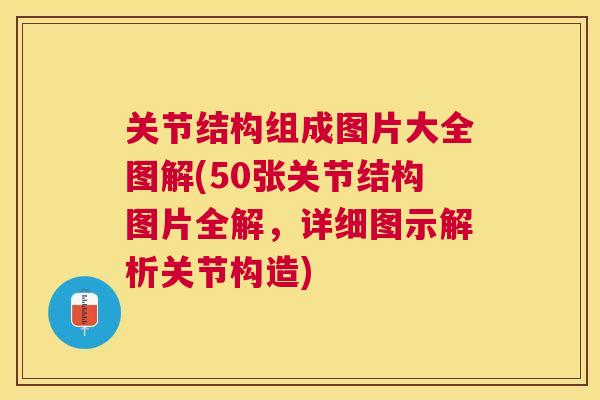 关节结构组成图片大全图解(50张关节结构图片全解，详细图示解析关节构造)