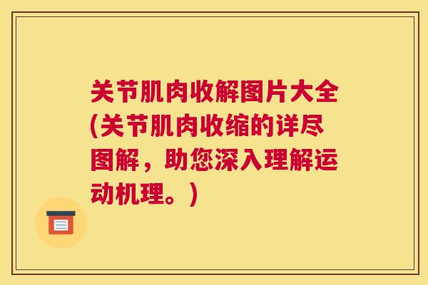 关节肌肉收解图片大全(关节肌肉收缩的详尽图解，助您深入理解运动机理。)