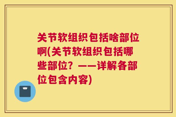 关节软组织包括啥部位啊(关节软组织包括哪些部位？——详解各部位包含内容)