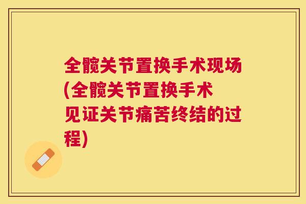全髋关节置换手术现场(全髋关节置换手术 见证关节痛苦终结的过程)