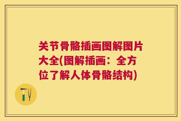 关节骨骼插画图解图片大全(图解插画：全方位了解人体骨骼结构)