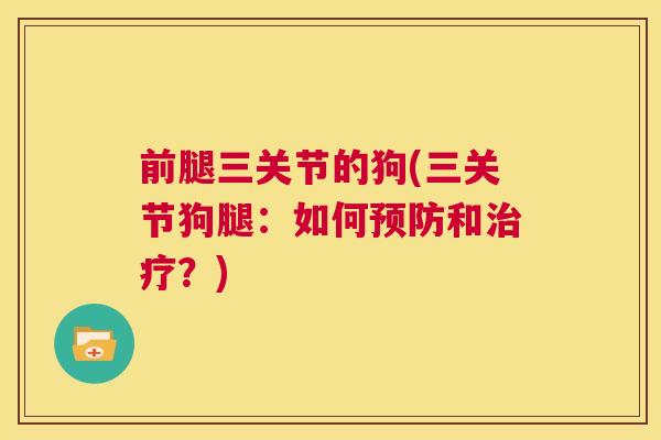 前腿三关节的狗(三关节狗腿：如何预防和治疗？)