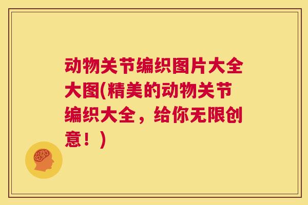 动物关节编织图片大全大图(精美的动物关节编织大全，给你无限创意！)