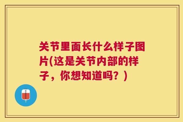 关节里面长什么样子图片(这是关节内部的样子，你想知道吗？)