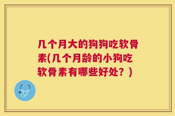 几个月大的狗狗吃软骨素(几个月龄的小狗吃软骨素有哪些好处？)