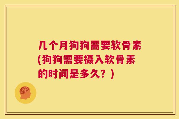 几个月狗狗需要软骨素(狗狗需要摄入软骨素的时间是多久？)