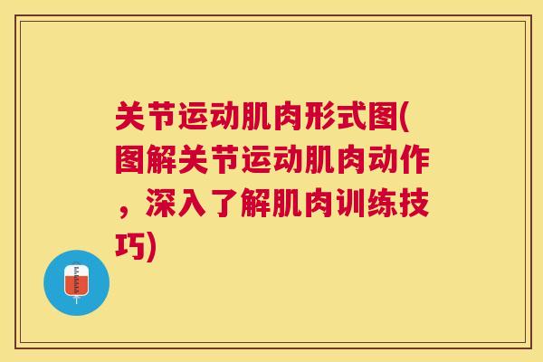 关节运动肌肉形式图(图解关节运动肌肉动作，深入了解肌肉训练技巧)
