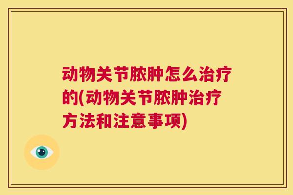 动物关节脓肿怎么治疗的(动物关节脓肿治疗方法和注意事项)