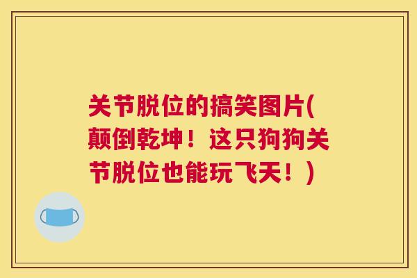 关节脱位的搞笑图片(颠倒乾坤！这只狗狗关节脱位也能玩飞天！)