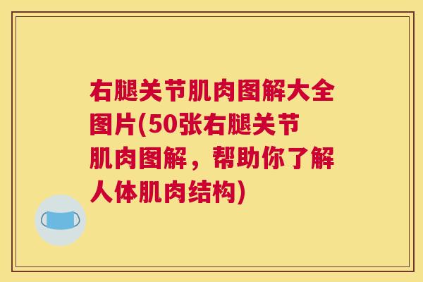 右腿关节肌肉图解大全图片(50张右腿关节肌肉图解，帮助你了解人体肌肉结构)