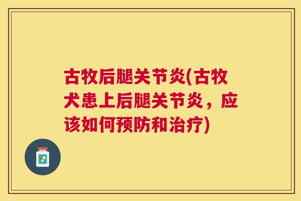 古牧后腿关节炎(古牧犬患上后腿关节炎，应该如何预防和治疗)