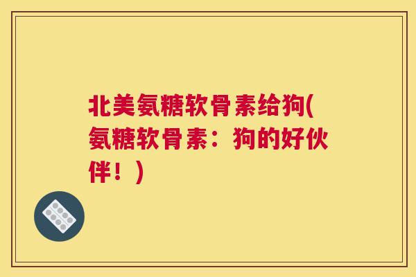 北美氨糖软骨素给狗(氨糖软骨素：狗的好伙伴！)