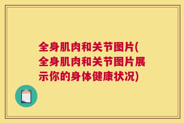 全身肌肉和关节图片(全身肌肉和关节图片展示你的身体健康状况)
