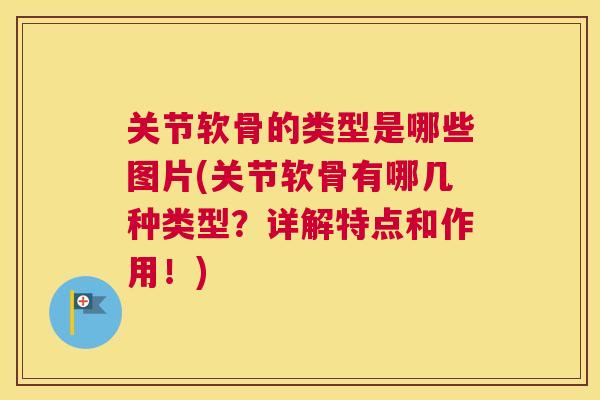 关节软骨的类型是哪些图片(关节软骨有哪几种类型？详解特点和作用！)