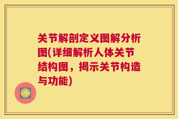 关节解剖定义图解分析图(详细解析人体关节结构图，揭示关节构造与功能)