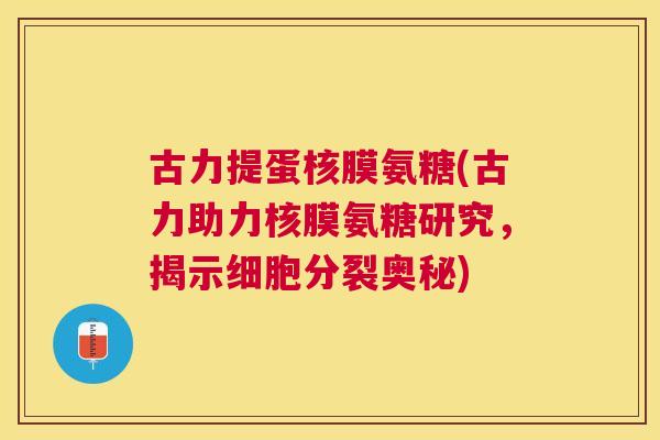 古力提蛋核膜氨糖(古力助力核膜氨糖研究，揭示细胞分裂奥秘)