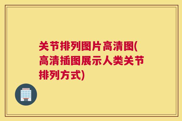 关节排列图片高清图(高清插图展示人类关节排列方式)