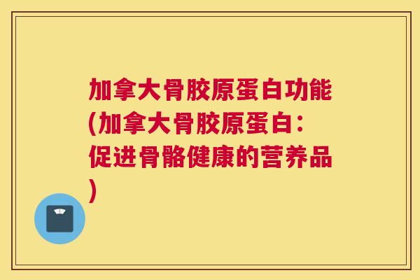 加拿大骨胶原蛋白功能(加拿大骨胶原蛋白：促进骨骼健康的营养品)