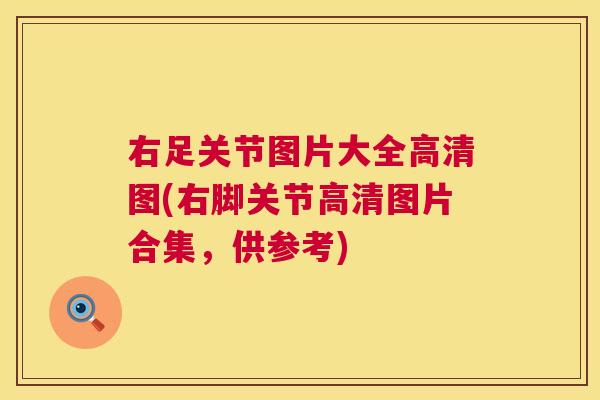 右足关节图片大全高清图(右脚关节高清图片合集，供参考)