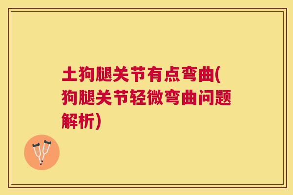 土狗腿关节有点弯曲(狗腿关节轻微弯曲问题解析)