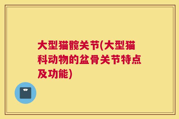 大型猫髋关节(大型猫科动物的盆骨关节特点及功能) 大型猫髋关节(大型猫科动物的盆骨关节特点及功能)