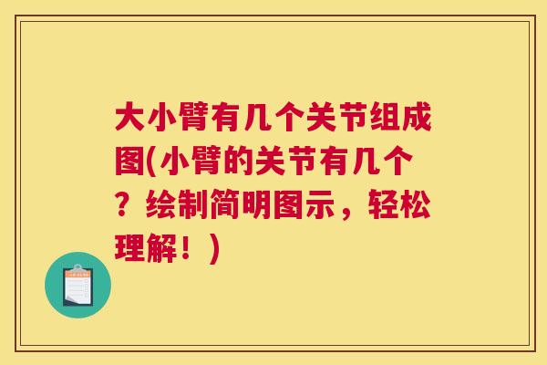 大小臂有几个关节组成图(小臂的关节有几个？绘制简明图示，轻松理解！)