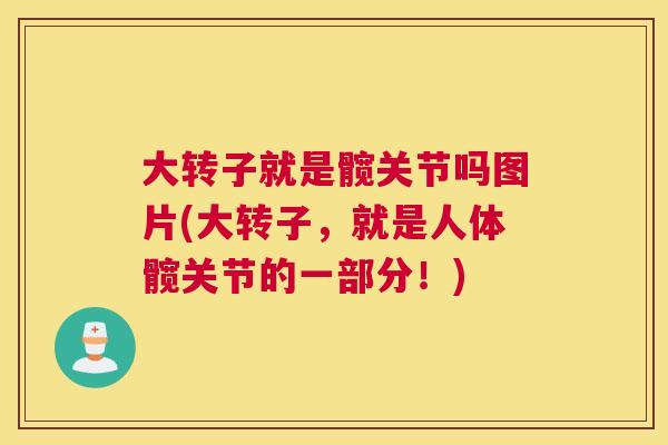 大转子就是髋关节吗图片(大转子，就是人体髋关节的一部分！)