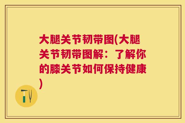 大腿关节韧带图(大腿关节韧带图解:了解你的膝关节如何保持健康) 大腿关节韧带图(大腿关节韧带图解:了解你的膝关节如何保持健康)