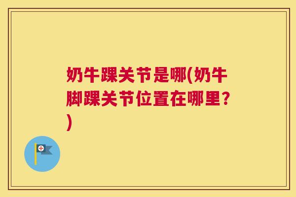 奶牛踝关节是哪(奶牛脚踝关节位置在哪里?) 奶牛踝关节是哪(奶牛脚踝关节位置在哪里?)