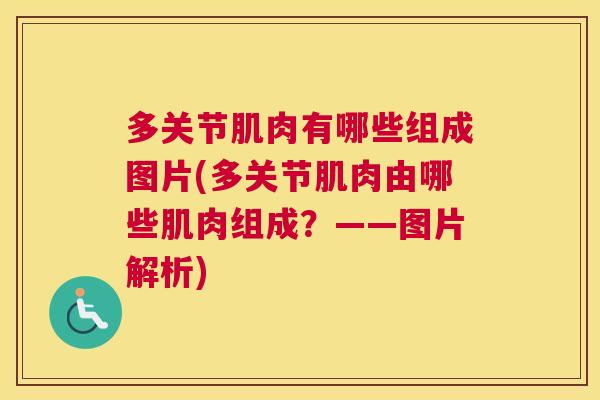 多关节肌肉有哪些组成图片(多关节肌肉由哪些肌肉组成？——图片解析)
