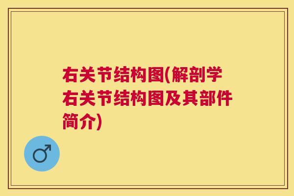 右关节结构图(解剖学右关节结构图及其部件简介)
