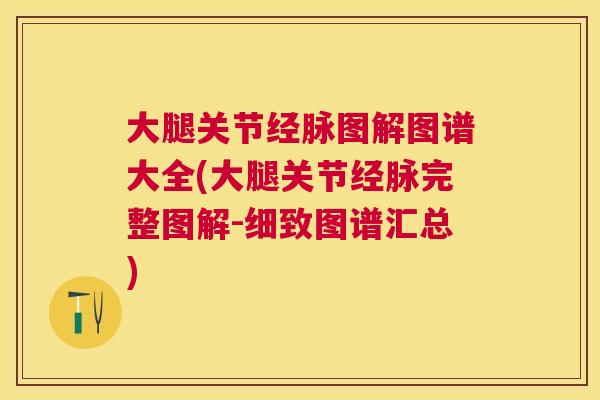 大腿关节经脉图解图谱大全(大腿关节经脉完整图解-细致图谱汇总)
