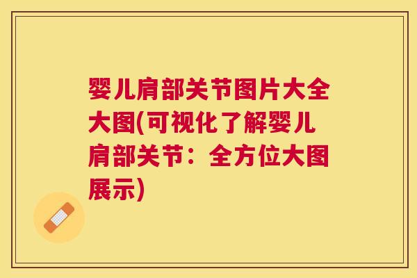 婴儿肩部关节图片大全大图(可视化了解婴儿肩部关节：全方位大图展示)
