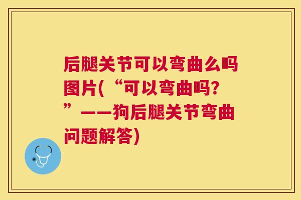 后腿关节可以弯曲么吗图片(“可以弯曲吗？”——狗后腿关节弯曲问题解答)
