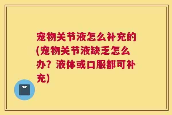 宠物关节液怎么补充的(宠物关节液缺乏怎么办？液体或口服都可补充)