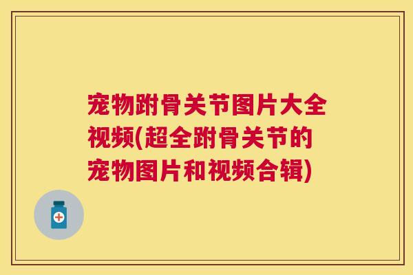 宠物跗骨关节图片大全视频(超全跗骨关节的宠物图片和视频合辑)