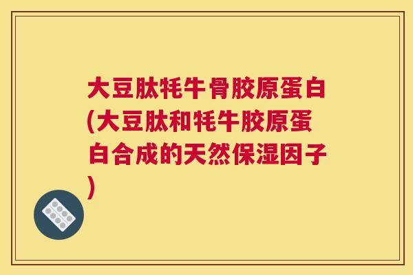 大豆肽牦牛骨胶原蛋白(大豆肽和牦牛胶原蛋白合成的天然保湿因子)