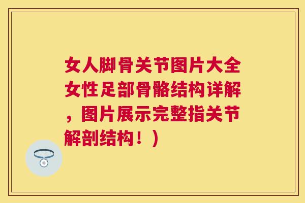 女人脚骨关节图片大全女性足部骨骼结构详解，图片展示完整指关节解剖结构！)