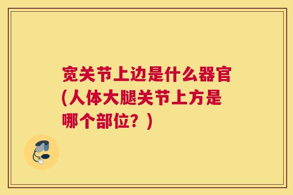 宽关节上边是什么器官(人体大腿关节上方是哪个部位?) 宽关节上边是什么器官(人体大腿关节上方是哪个部位?)